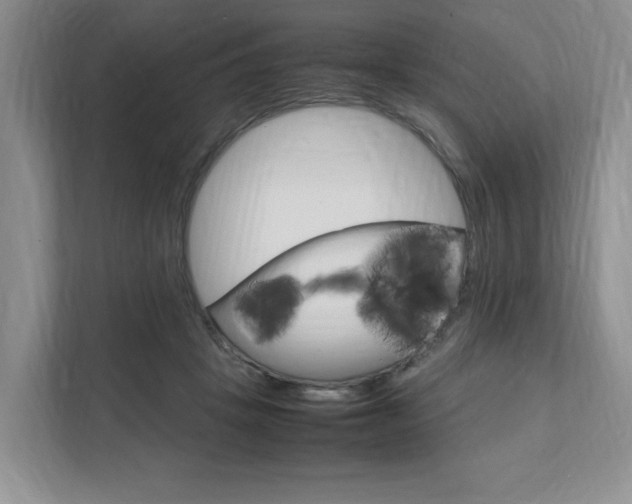 X0000111950457200907271038
