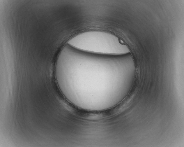 X0000111950458200907271038