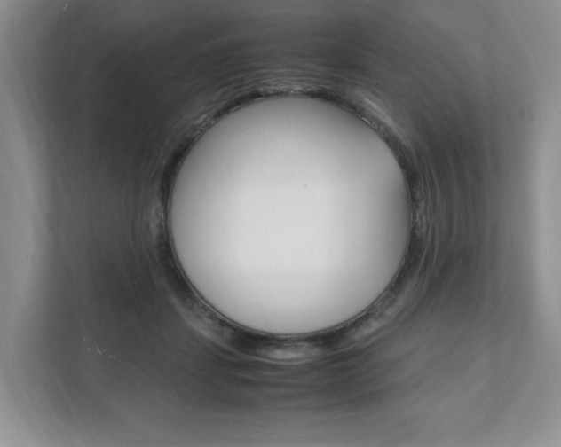 X0000111950459200907271038