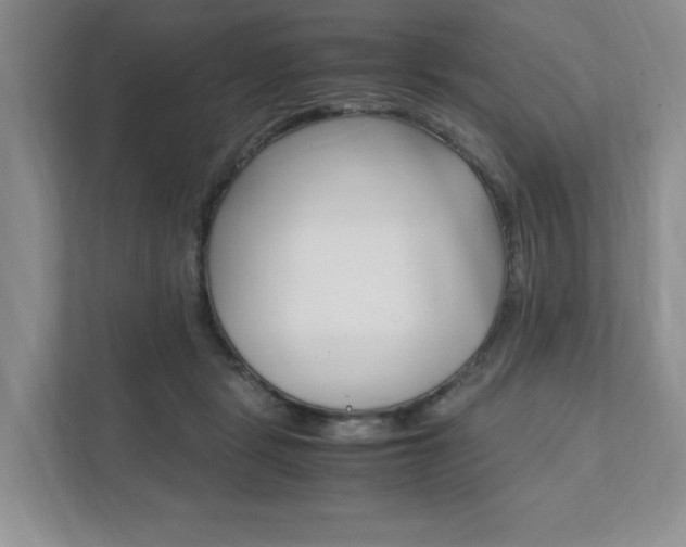 X0000111950461200907271038
