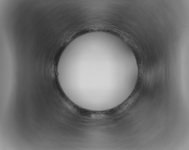 X0000111950470200907271038