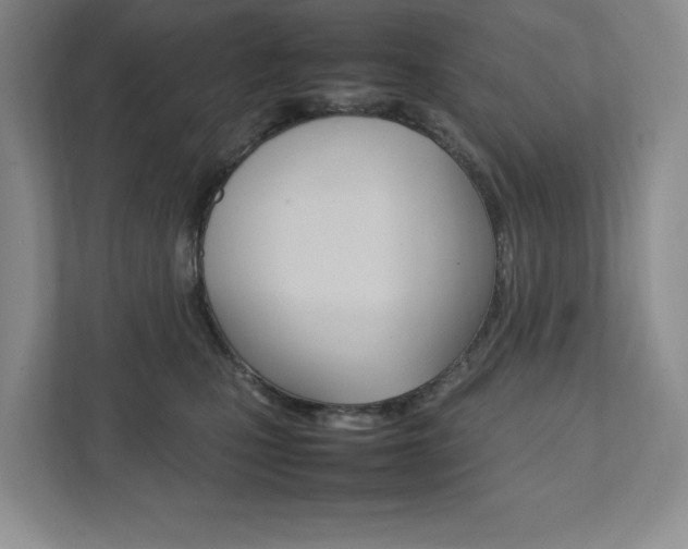 X0000111950471200907271038