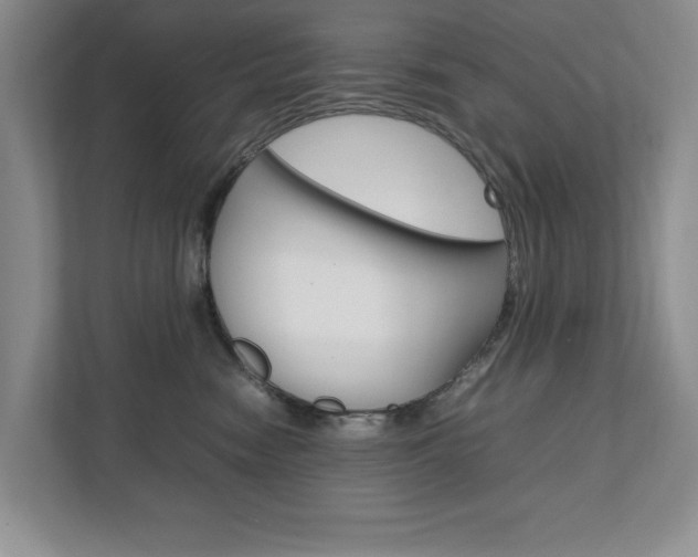 X0000111950474200907271038
