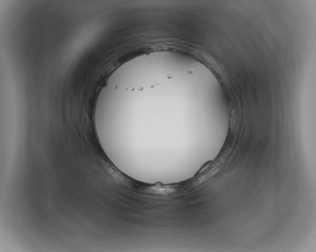 X0000111950477200907271038