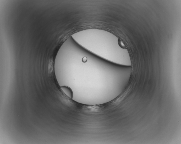 X0000111950478200907271038
