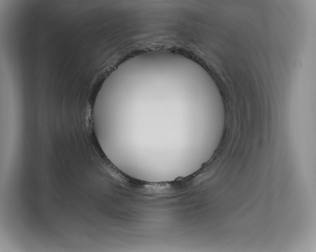 X0000111950480200907271038