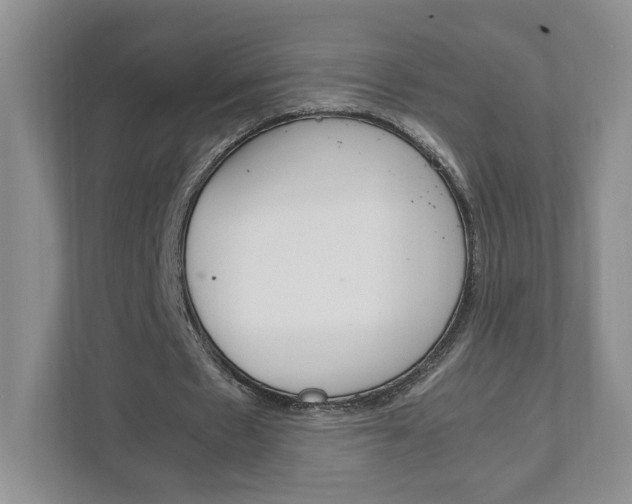 X0000111950481200907271038