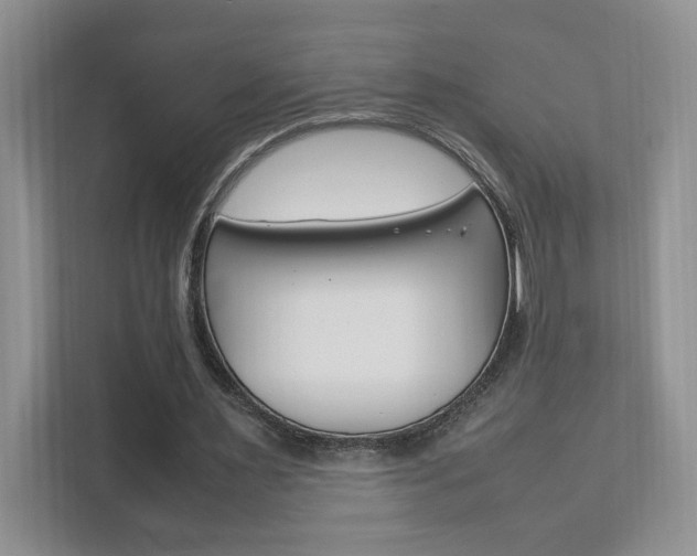 X0000111950483200907271038