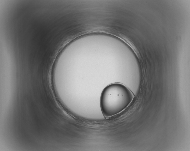 X0000111950485200907271038