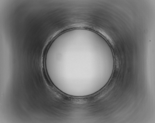 X0000111950486200907271038