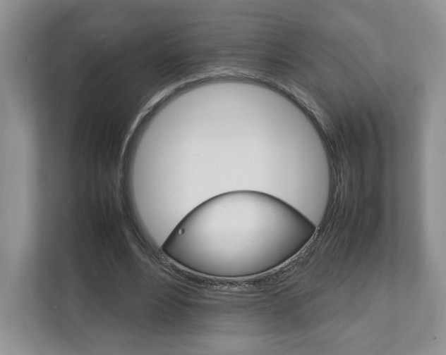 X0000111950488200907271038