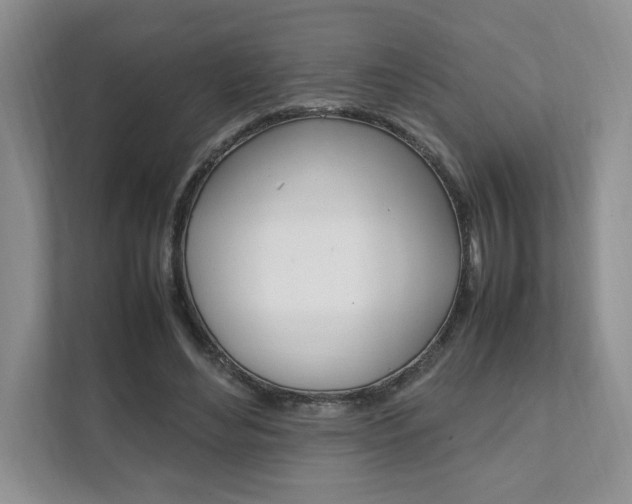 X0000111950492200907271037
