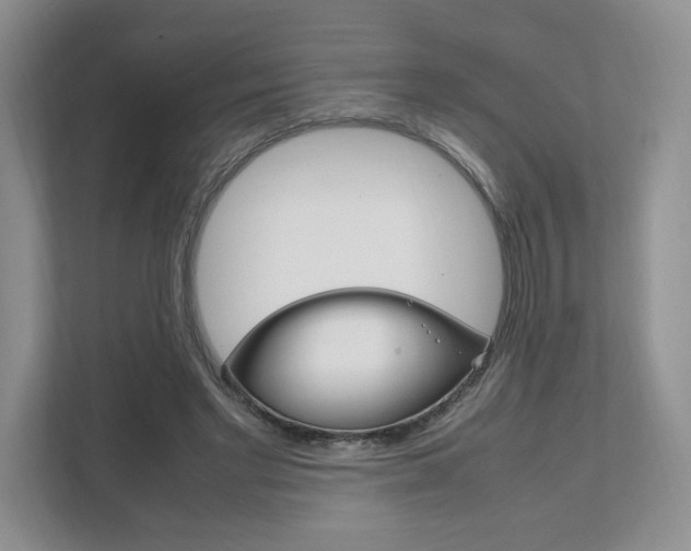 X0000111950493200907271037
