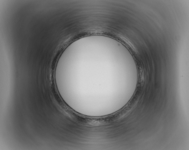 X0000111950494200907271037