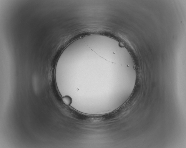 X0000111950495200907271037