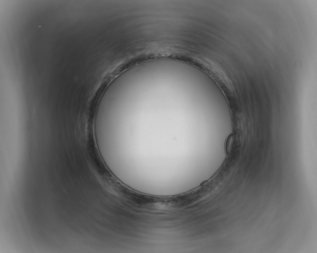 X0000111950496200907271037