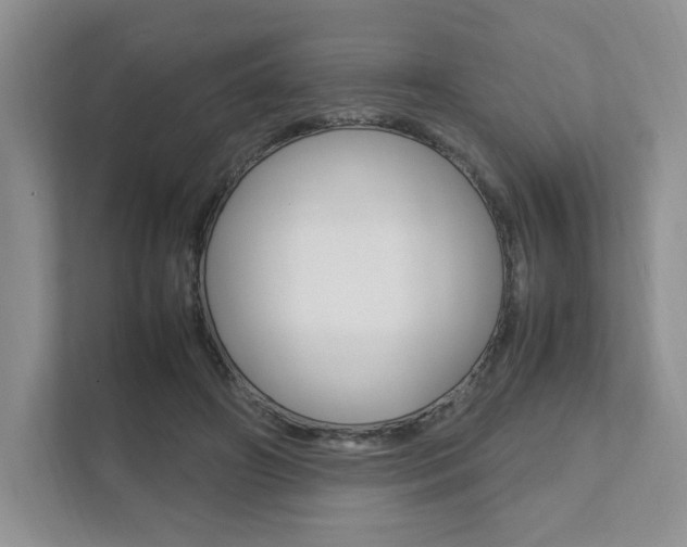 X0000111950498200907271037