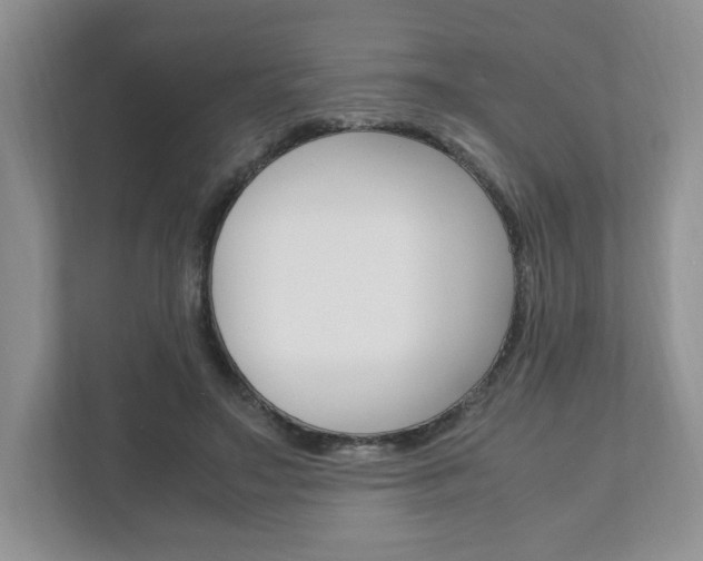 X0000111950499200907271037