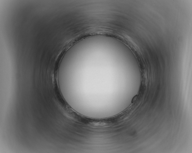X0000111950500200907271037