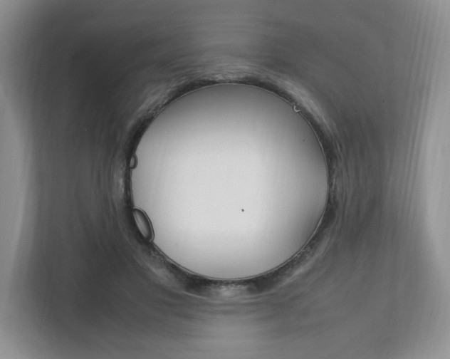 X0000111950501200907271037