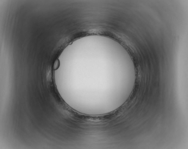 X0000111950502200907271037