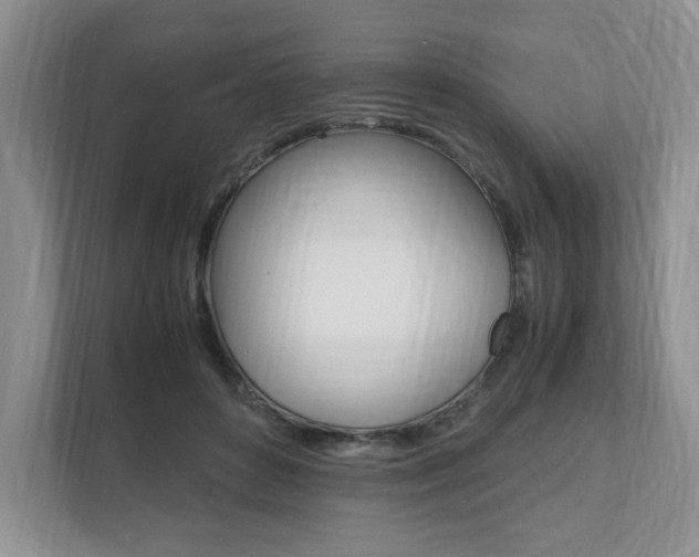 X0000111950504200907271037