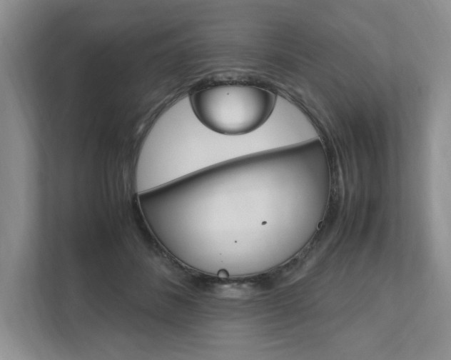 X0000111950508200907271037