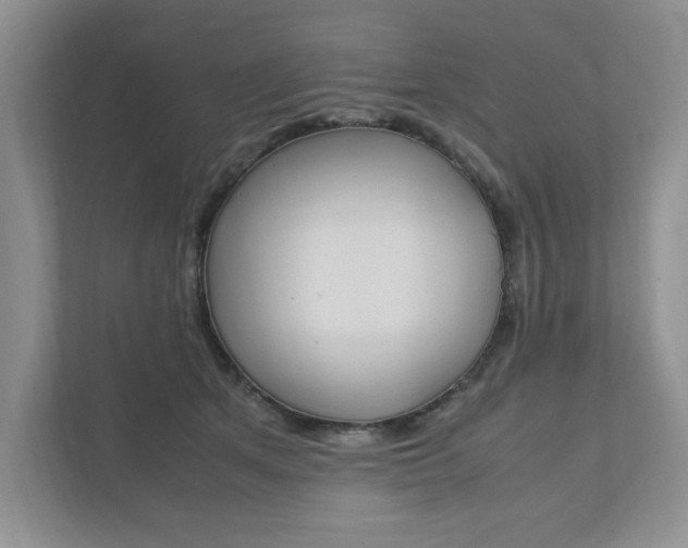 X0000111950513200907271037