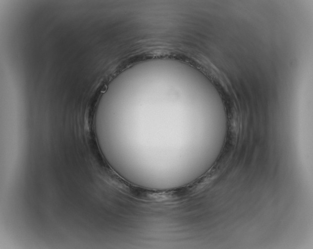 X0000111950516200907271037
