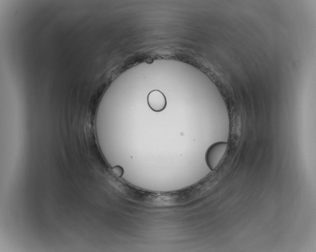 X0000111950518200907271037