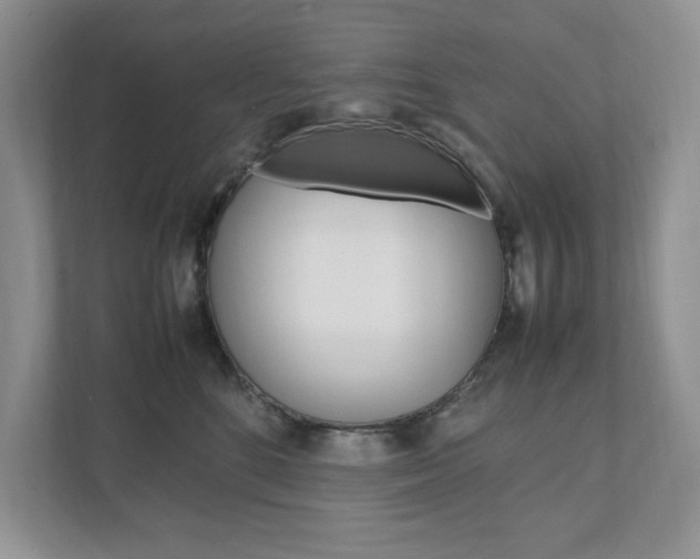 X0000111950520200907271037