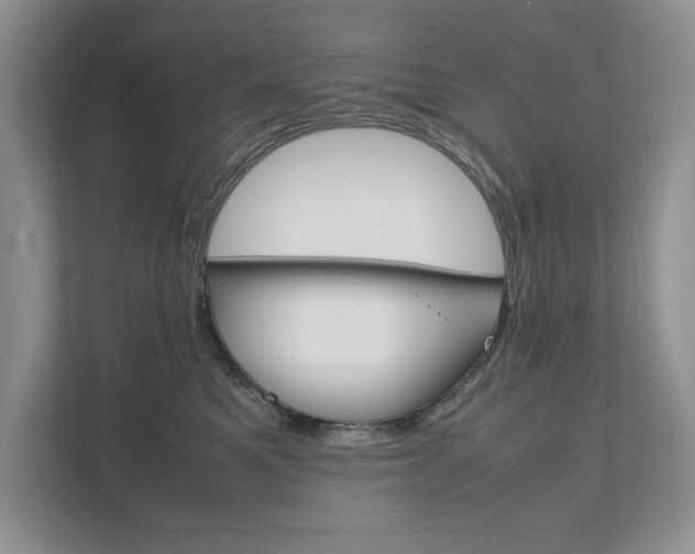 X0000111950521200907271037