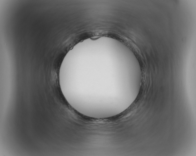 X0000111950523200907271037
