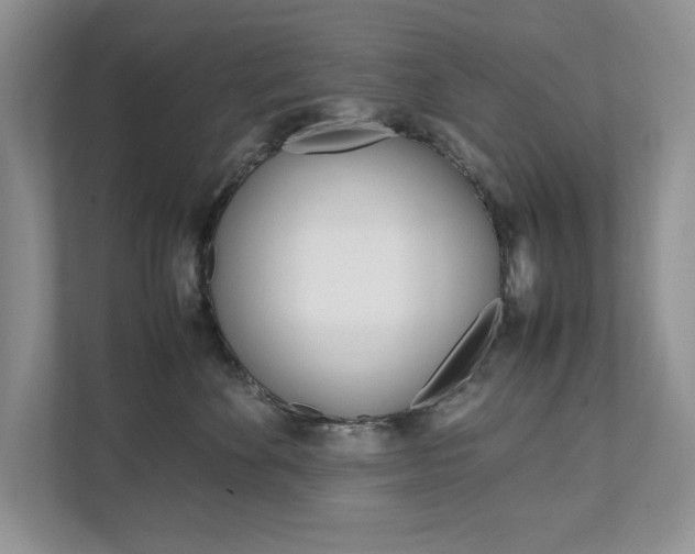 X0000111950524200907271037