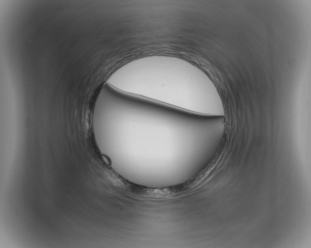 X0000111950525200907271037