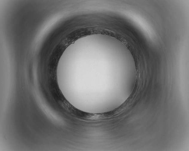 X0000111950527200907271037