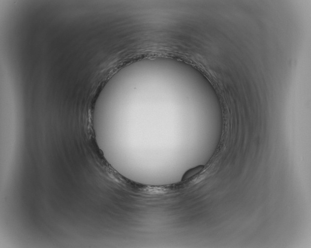 X0000111950528200907271037