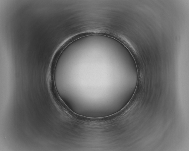 X0000111950532200907271036