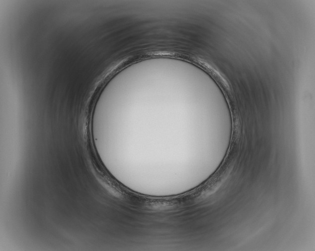 X0000111950533200907271036