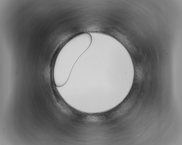 X0000111950534200907271036