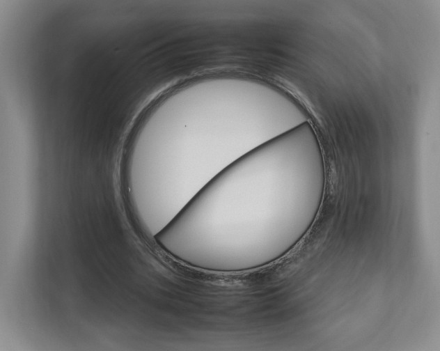 X0000111950535200907271036
