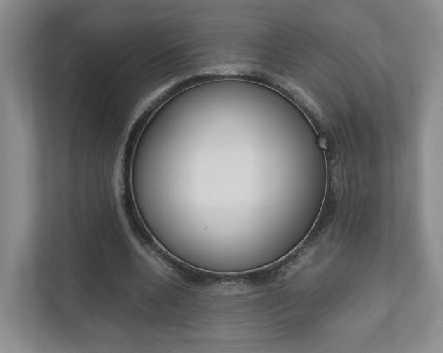 X0000111950536200907271036