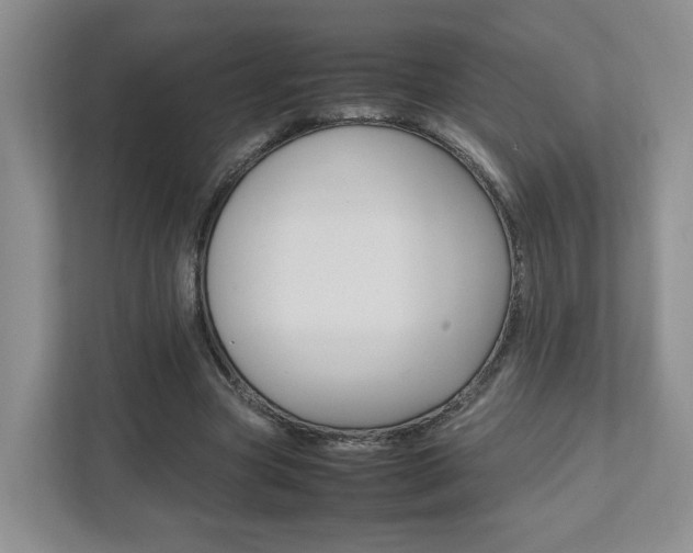 X0000111950537200907271036