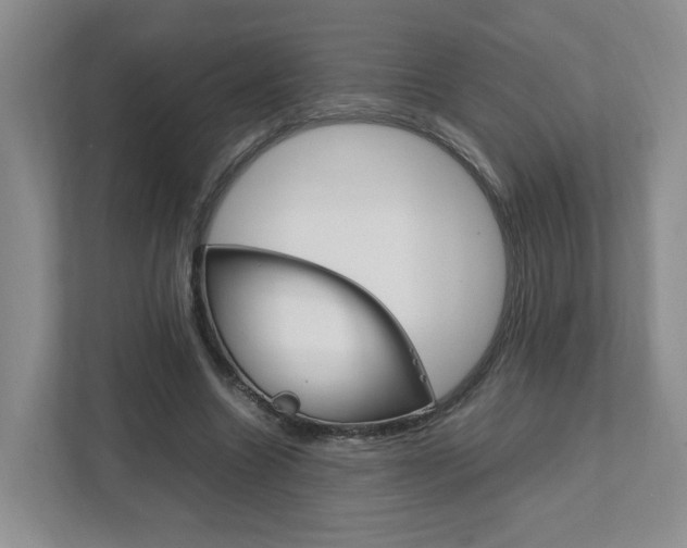 X0000111950538200907271036