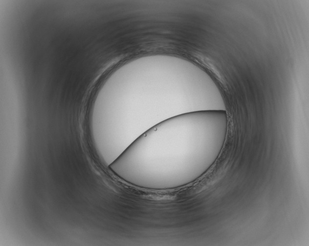 X0000111950539200907271036