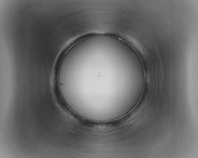 X0000111950540200907271036