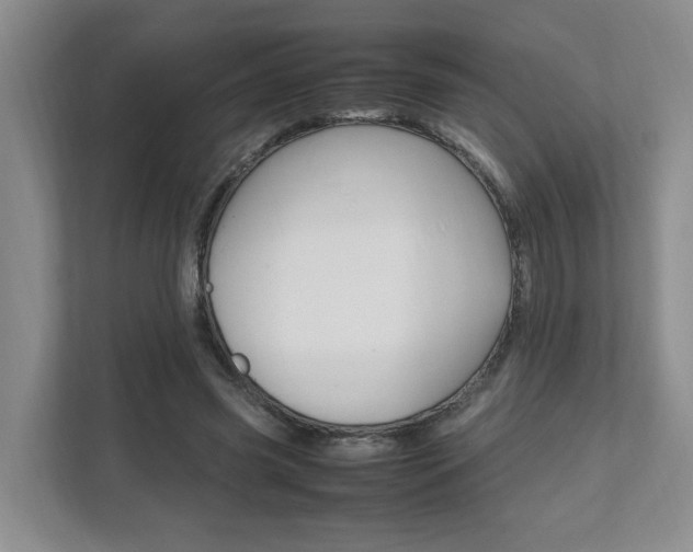 X0000111950541200907271036