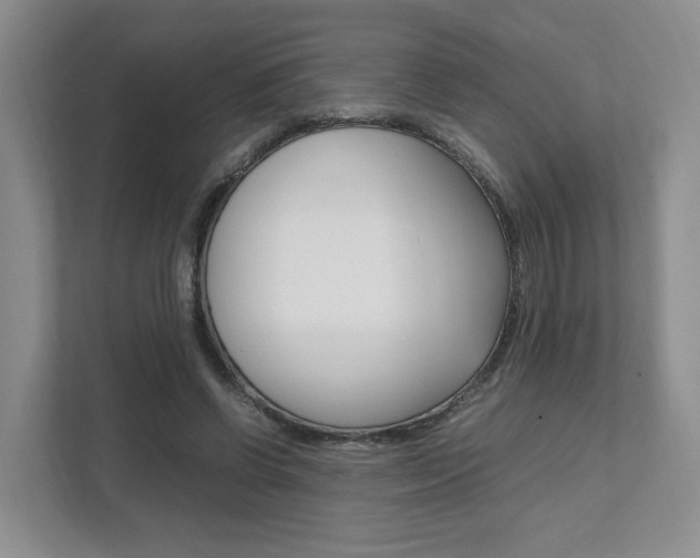 X0000111950542200907271036