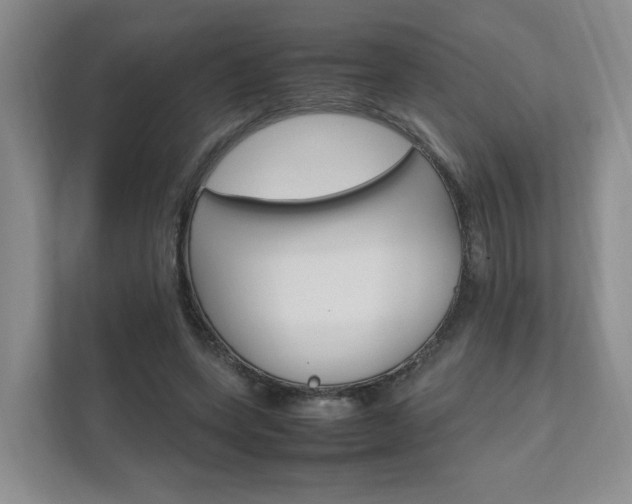 X0000111950543200907271036
