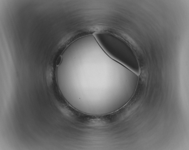X0000111950544200907271036